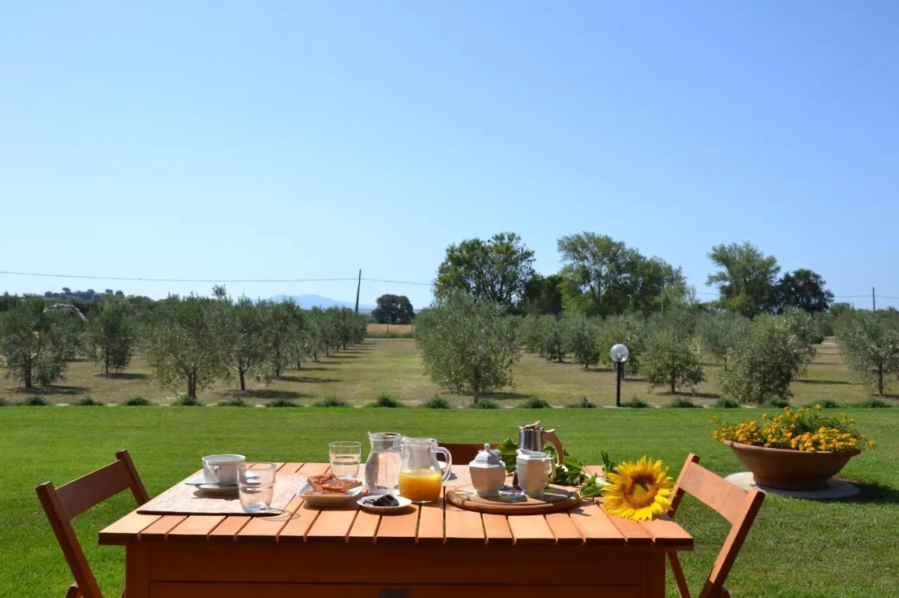 Agriturismo Il Vecchio Mandorlo Castiglione della Pescaia 0*,  Italy